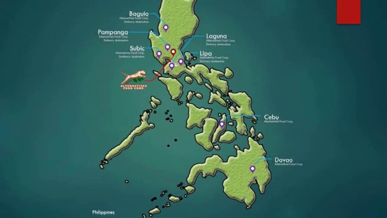 Covid19 Best Company. Alternatives Food Corp 10 - YouTube