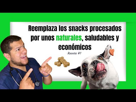 Video: Cómo elegir bocadillos saludables para tu perro: con recetas sencillas de golosinas para perros