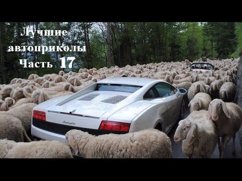 приколы машин фото