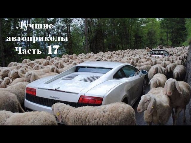Эксперт по машинам