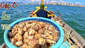 Ngày May Mắn Của Hai Anh Em Lặn Biển Hốt Trọn Ổ Ốc Kiếm Người 1 Triệu | P 397