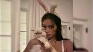 Maroon 5 - Animals (TikTok Version)