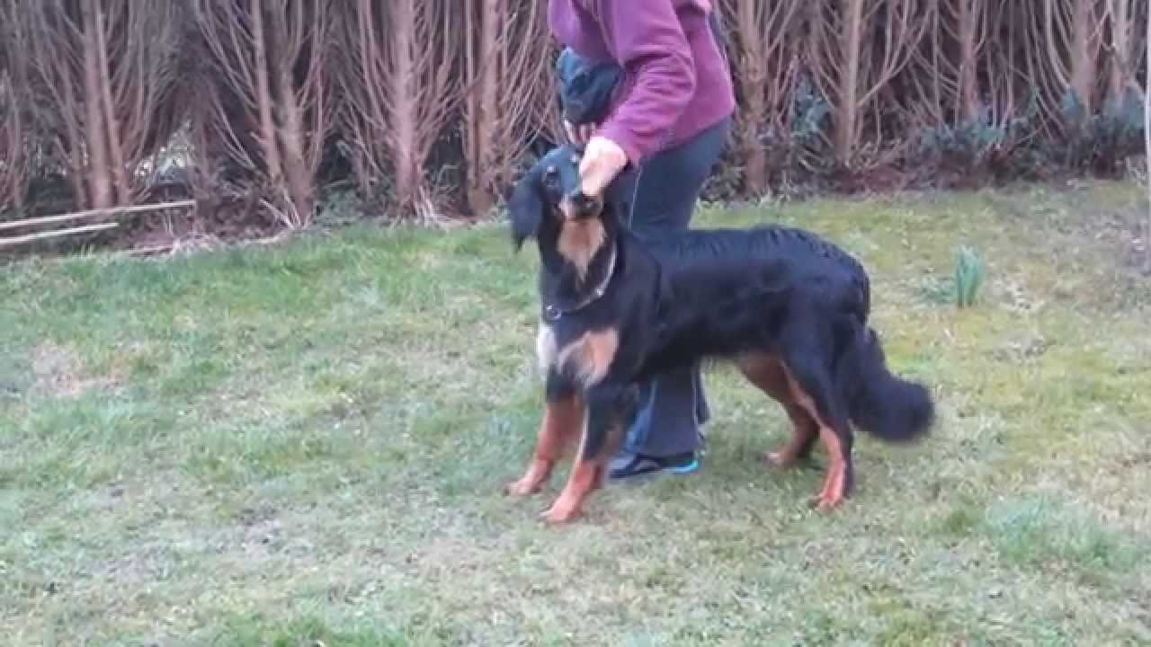 Freya Training 20.3.2013 I