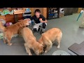 オヤツ動画→大乱闘に!