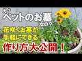 ペットのお墓を寄せ植えで作ろう！ 花咲くお墓でいつも一緒！