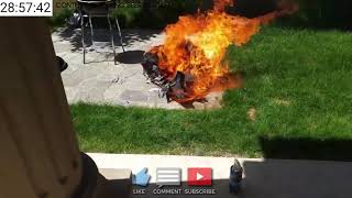 Alinity Twerk On Stream...... Twitch Highlights Ꞁ Clippy -Top Twitch Clips