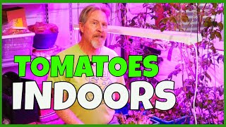 Growing Hydroponic Vegetables