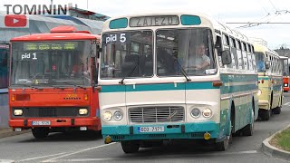 Autobusový den Pid Praha  Letňany 2023 | Historic bus show
