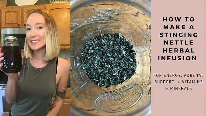 How to Make a Stinging Nettle Infusion | For Energ...