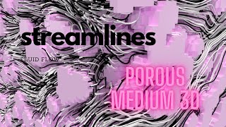 Geometry and streamlines in the fluid flow through a 3D porous media