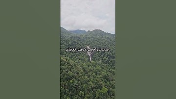 ألا بذكر اللّٰه تطمئن القلوب تلاوة خاشعة من سورة الأحزاب#quran#قران #قران_كريم..