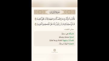 السراج في بيان غريب القران سورة الذاريات 7 مع تلاوة الشيخ سعد الغامدي