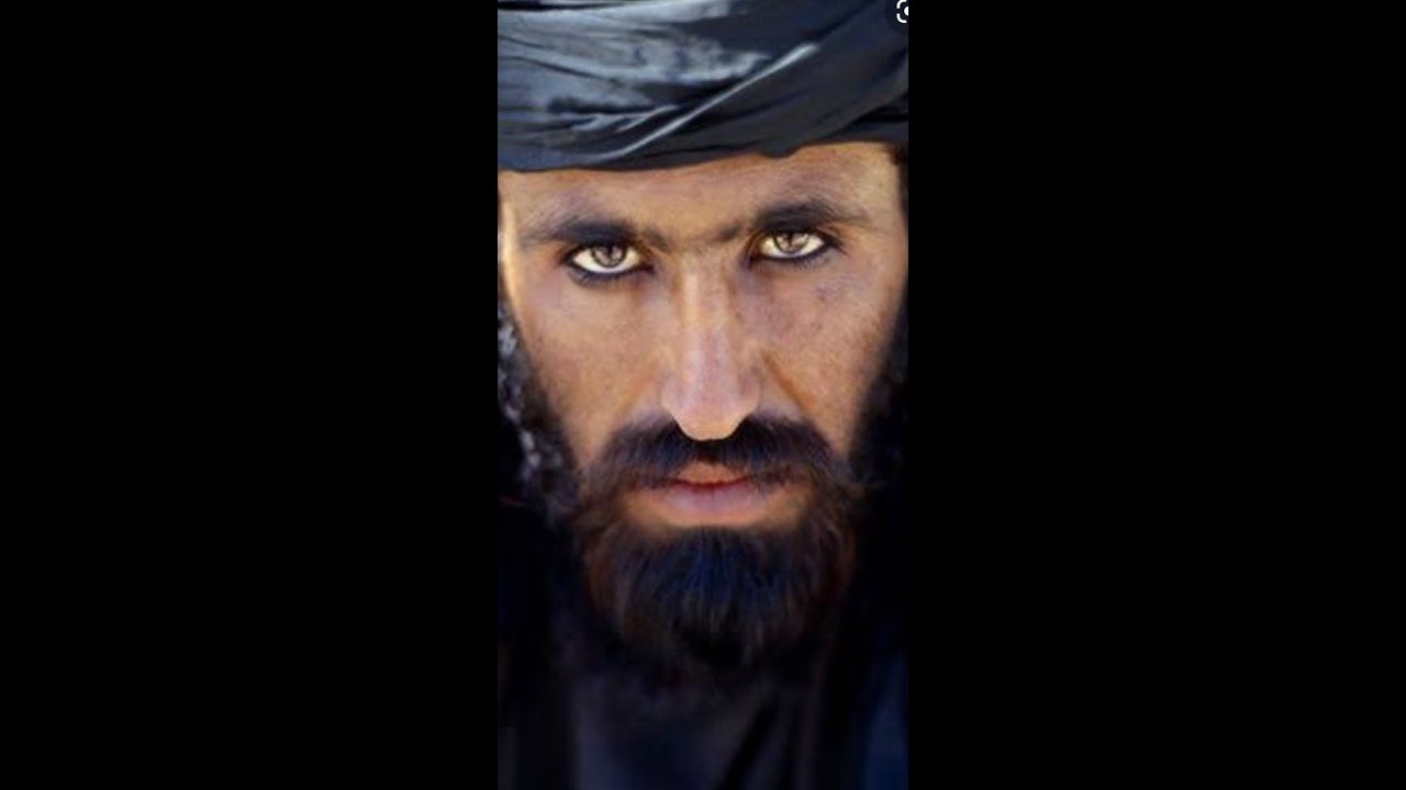 Pashto Quote| status| 