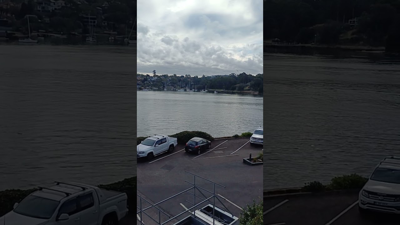 Sydney Rowing Club N.S.W. Australia 🇦🇺 🪃