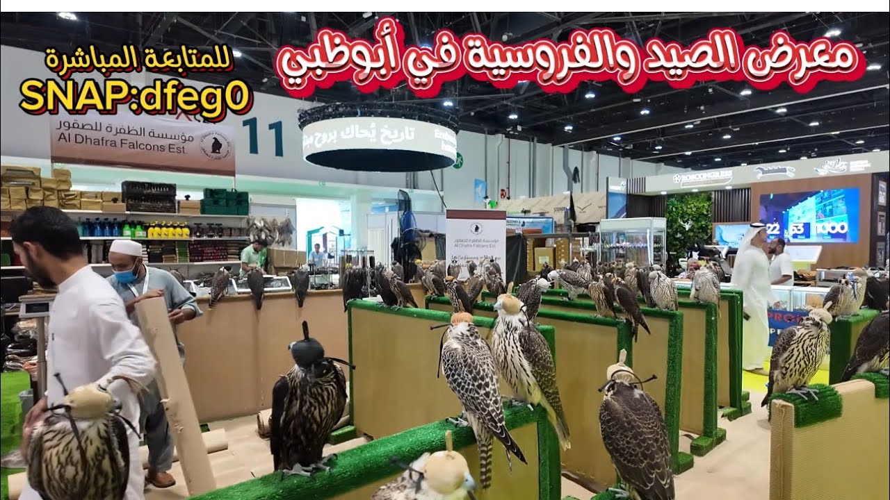 معرض الصيد والفروسية أبوظبي 🇦🇪🇴🇲🇸🇦🇶🇦🇰🇼  🇮🇶الصيد والبحر ‏و الافرود والتخيم والكرفان￼ والفروسية والقنص