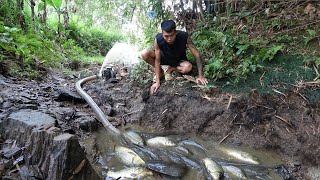 Top video: Fishing Video, Fishing Exciting - Fishing techniques, Wild fishing - Catch a lot of fish