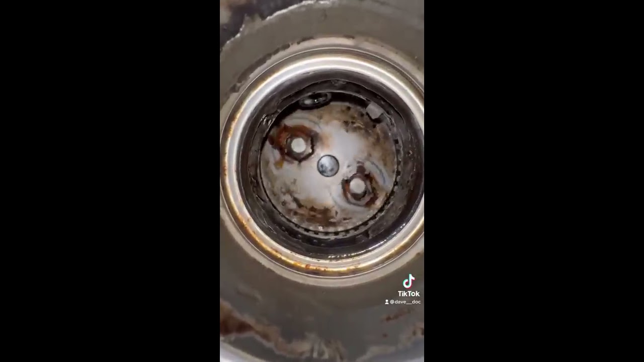 How To Clean Out Your Garbage Disposal Diy Plumbing Garbagedisposal
