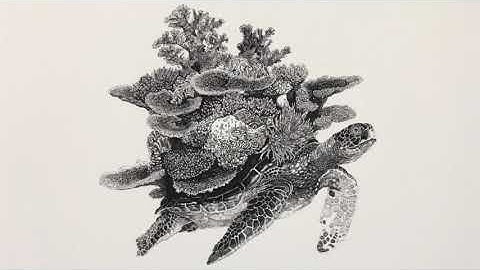 Turtles all the Way Down - drawing by Olivier Leger