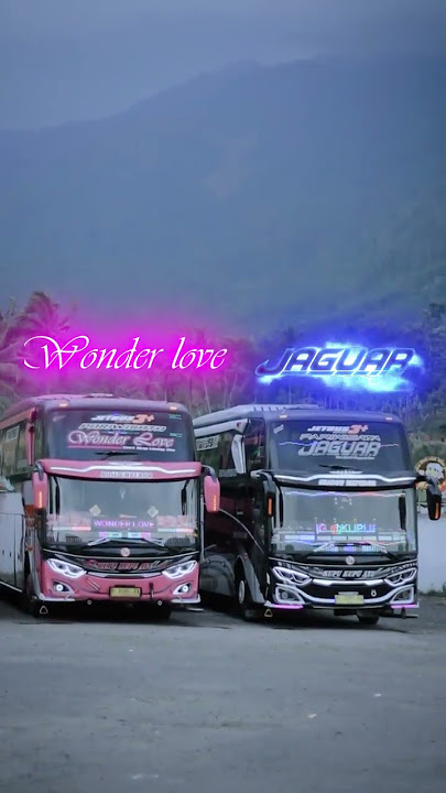 Cinematic Bus Pariwisata Kupu Kupu Ayu WONDER LOVE × JAGUAR