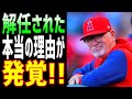 【海外の反応】エンゼルス・マドン前監督の早期解任の真の理由明らかに。「解任したのは〇〇するためだ」【まみのラヴリーJAPAN】