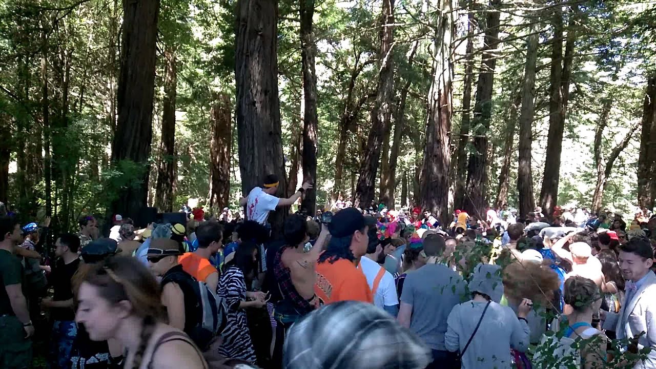 Forest Rave Aftermath B2B Forest Rave - YouTube