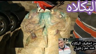 البكلاه و عم عبدالله زغلول وسر تجفيف سمك بكالاه الحاريد المجفف. بطريقة عمليا.