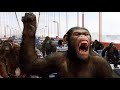 تجربه بتخلى القرود ذكيه وبيبداو التمرد على البشر ملخص فيلم Rise Of The Planet Of The Apes 