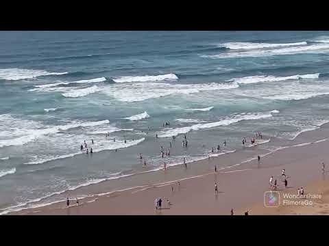 بحر امي نتركا ميراللفت صاحب اللواء الازرق