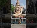 Om namah sivaya 🙏🙏