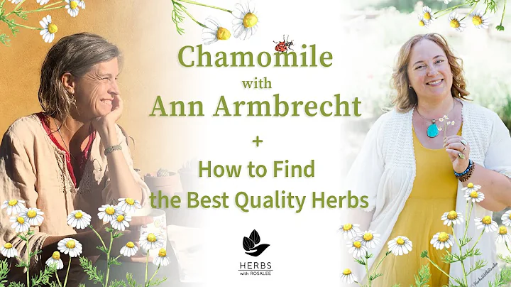 Chamomile with Ann Armbrecht + How to Find the Hig...