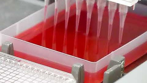 Biomek 4000 pipetting on to a 384 well plate