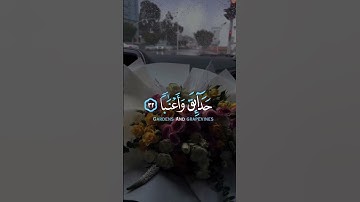 الراحه النفسيه 🌸🌺 إسلام الصبحي تلاوة مؤثرة حالات واتس أب قرآن كريم