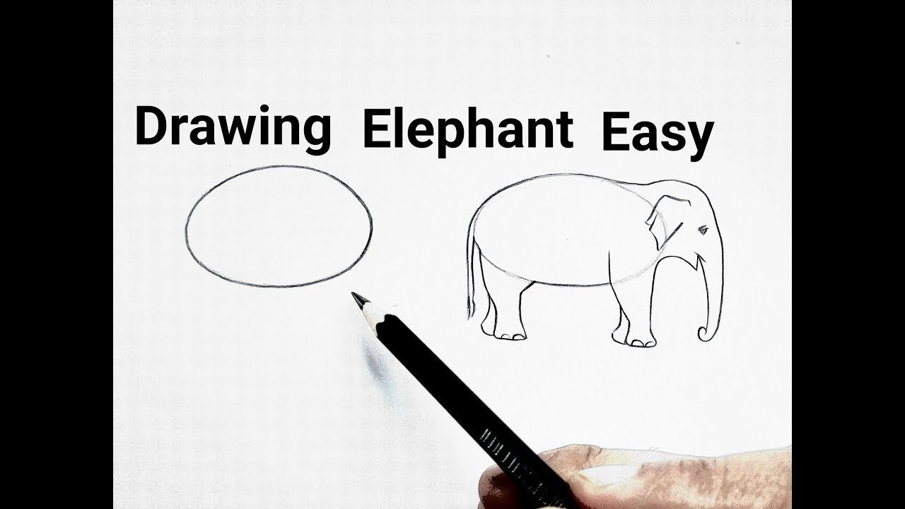 How To Draw An Elephant Drawing Easy Step By Step Basic Animals