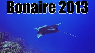 Bonaire Dive Trip, June 2013