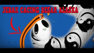JEBAK CACING BESAR ALASKA | WORM ZONE BESAR | WORM ZONE BEST SCORE | WORM ZONE ONLINE | WORM ZONE screenshot 5