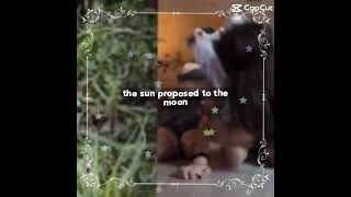 What a beautiful FaceTime @VeeD-i3i and @sally-face2255