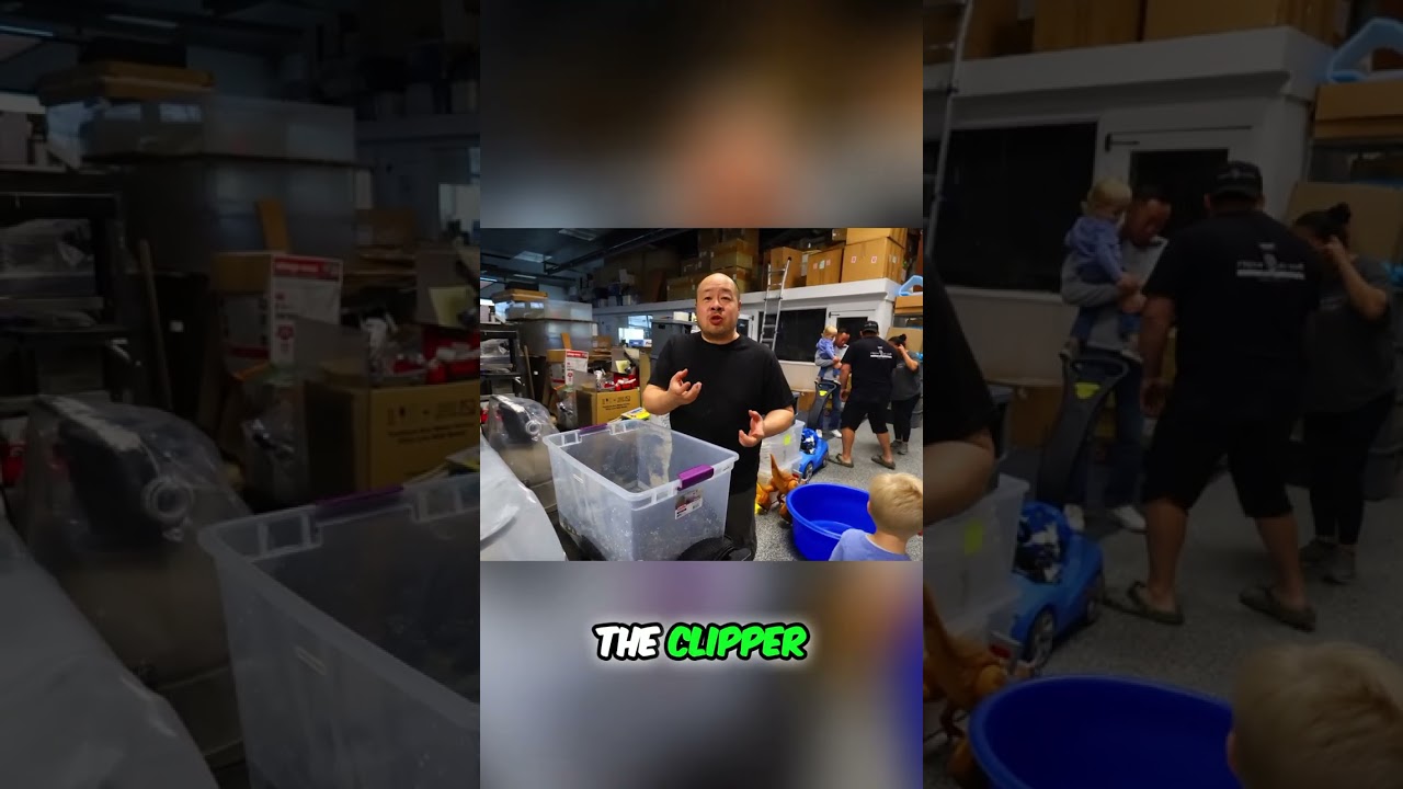 Clipping giant stingray spikes! What happens if the sting you? #shorts