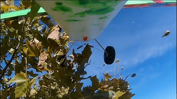 First RC flight without beginner gyro stabilizer! (yep, I crashed)