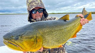 IBERA: The Marsh of Gold - Fly Fishing for Golden Dorado in Argentina