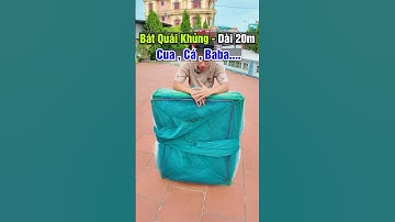 Bát Quái Khủng Dài 20m - Khung 80 x 100cm - Nặng 17kg Đánh Cua, Cá, Baba.... #luoidanhcaatrung