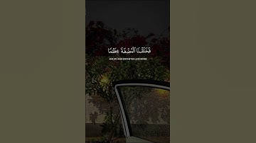 ﴿ وَلَقَدْ خَلَقْنَا الْإِنسَانَ مِن سُلَالَةٍ مِّن طِينٍ ﴾ #ياسر_الدوسري #آيات #تلاوة_خاشعة