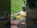 polygon extrada 6.0 size M 29 er  #mtb #polygonbike