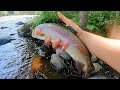 HJL | S1E14 | ~ Using Live Bait to Catch Rainbow Trout ~