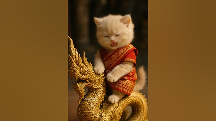 OMG 😱 She is too cute. Are you mad??  #singingcat #cute #cat #viralcats