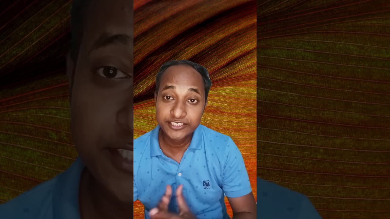 HSBC Multicap Mutual Fund 