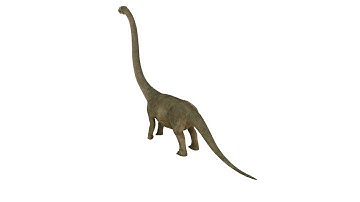 3D Brontosaurus model dinosaur