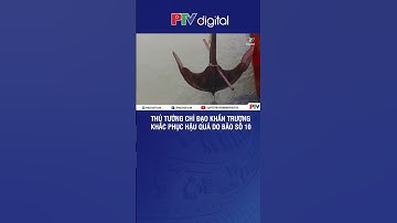 Thủ tướng chỉ đạo khẩn trương khắc phục hậu quả do bão số 10 và mưa lũ