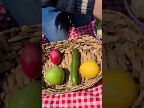 تصنيف الخضروات والفواكه للأطفال