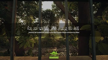 تلاوة رائعة: "وَكَذَٰلِكَ مَكَّنَّا لِيُوسُفَ فِي الْأَرْضِ" | سورة يوسف | قرآن
