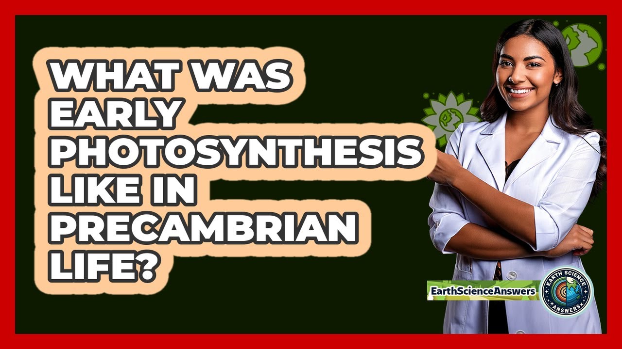 What Was Early Photosynthesis Like In Precambrian Life? - Earth Science Answers
